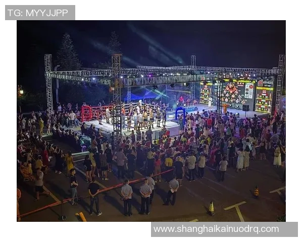 拳击真人秀：挑战极限的热血对决与真实人生的碰撞